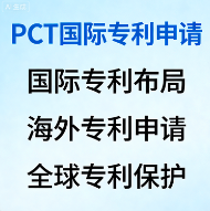 国际专利申请（PCT）——一份申请，多国选择，系统化布局全球专利资产，护航企业出海与国际化
