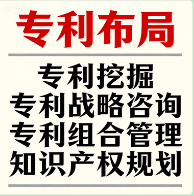 专利布局与挖掘咨询——从零散申请到体系化作战，构建支撑企业商业目标的专利组合与竞争壁垒