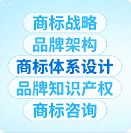 商标品牌策略咨询——超越注册本身，构建与企业战略协同的品牌知识产权资产体系