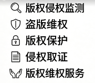 版权侵权预警与维权支持——主动监测侵权线索，提供专业维权方案，高效打击盗版与非法使用