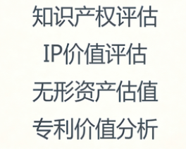 知识产权价值评估咨询服务——量化无形资产的真实价值，为交易、融资、出资与资产管理提供权威依据