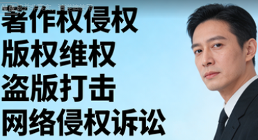 著作权侵权纠纷维权服务——为文字、图片、软件、影视等作品的全链条传播保驾护航