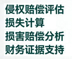 知识产权侵权损害赔偿评估分析服务——运用财务审计方法，科学量化侵权损失，让赔偿主张有理有据、令人信服