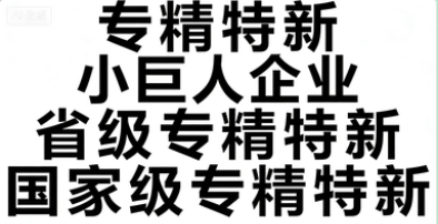 专精特新“小巨人”与省/市级专精特新企业申报辅导——聚焦专业化、精细化、特色化、新颖化，助力中小企业走向标杆