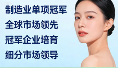 制造业单项冠军（产品/企业）申报与长期培育咨询——聚焦“补短板”“锻长板”，成就细分市场的全球领导者